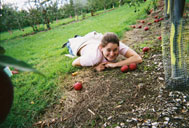 Sean apple picking