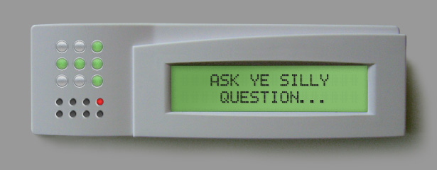 Ask Ye Silly Question...