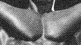 The Chest