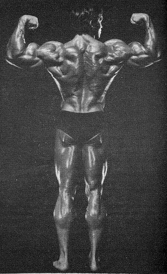 This an image map. Click on the muscle you want to excercise.