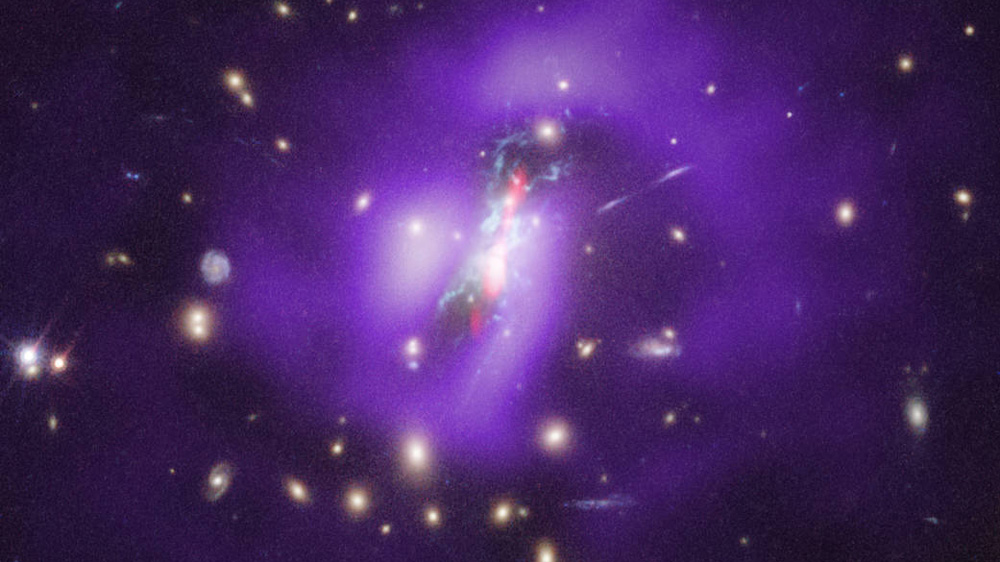 Purple view of galaxies in the Phoenix galaxy cluster