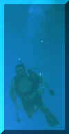 Me Diving!