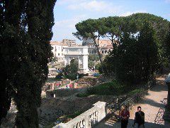 View of the Colosseum from Palatine Hill