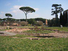 Top of Palatine Hill. Note interesting trees