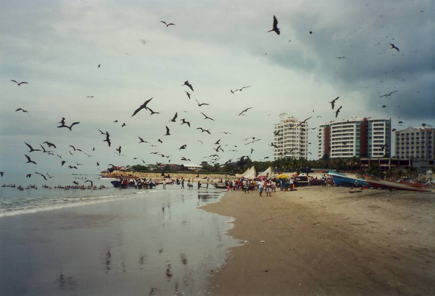 At Playas Ecuador by the town of Villamil Most of the fishermen use