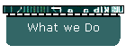 What we Do