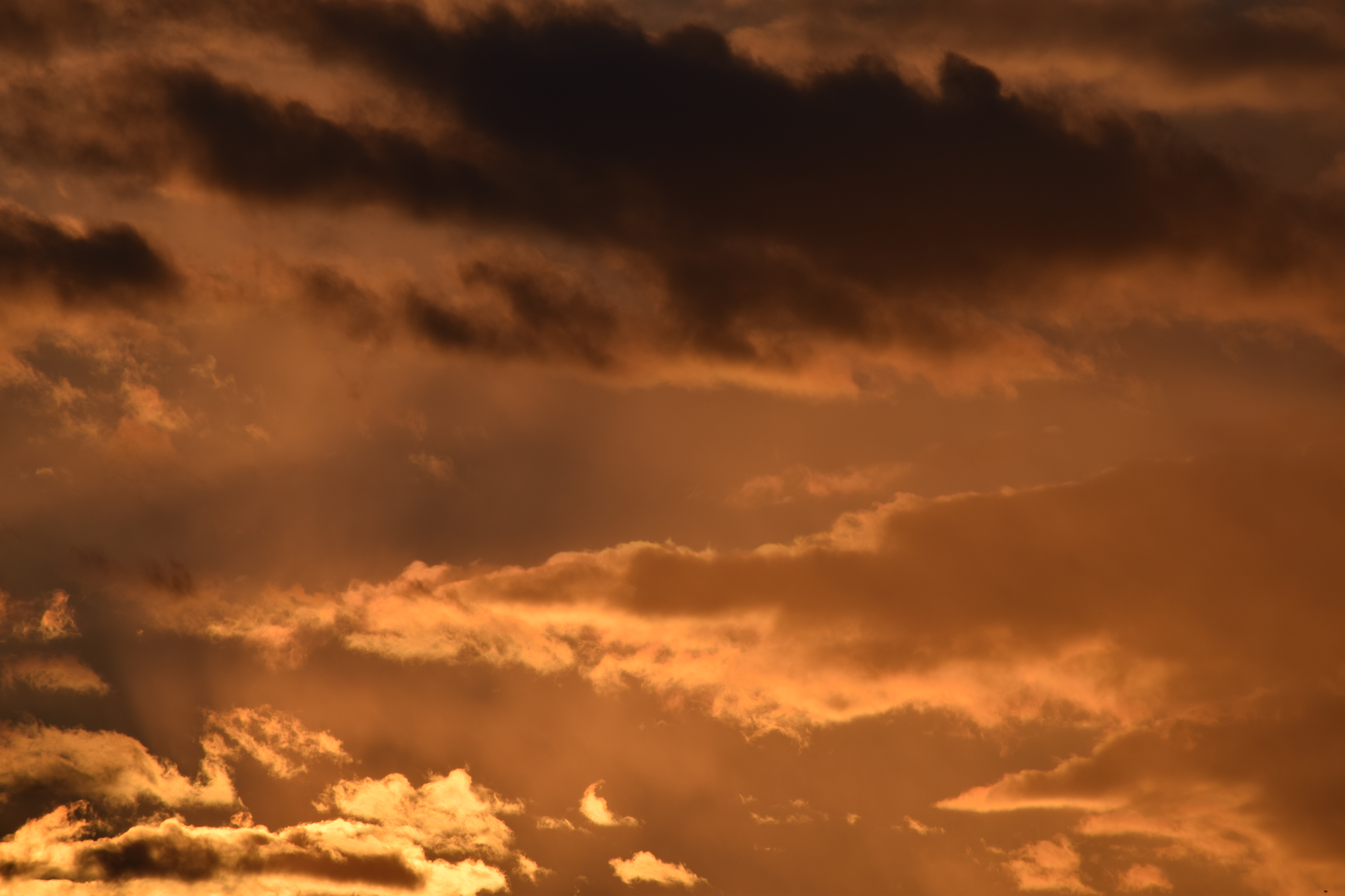 Sunset in Boston.