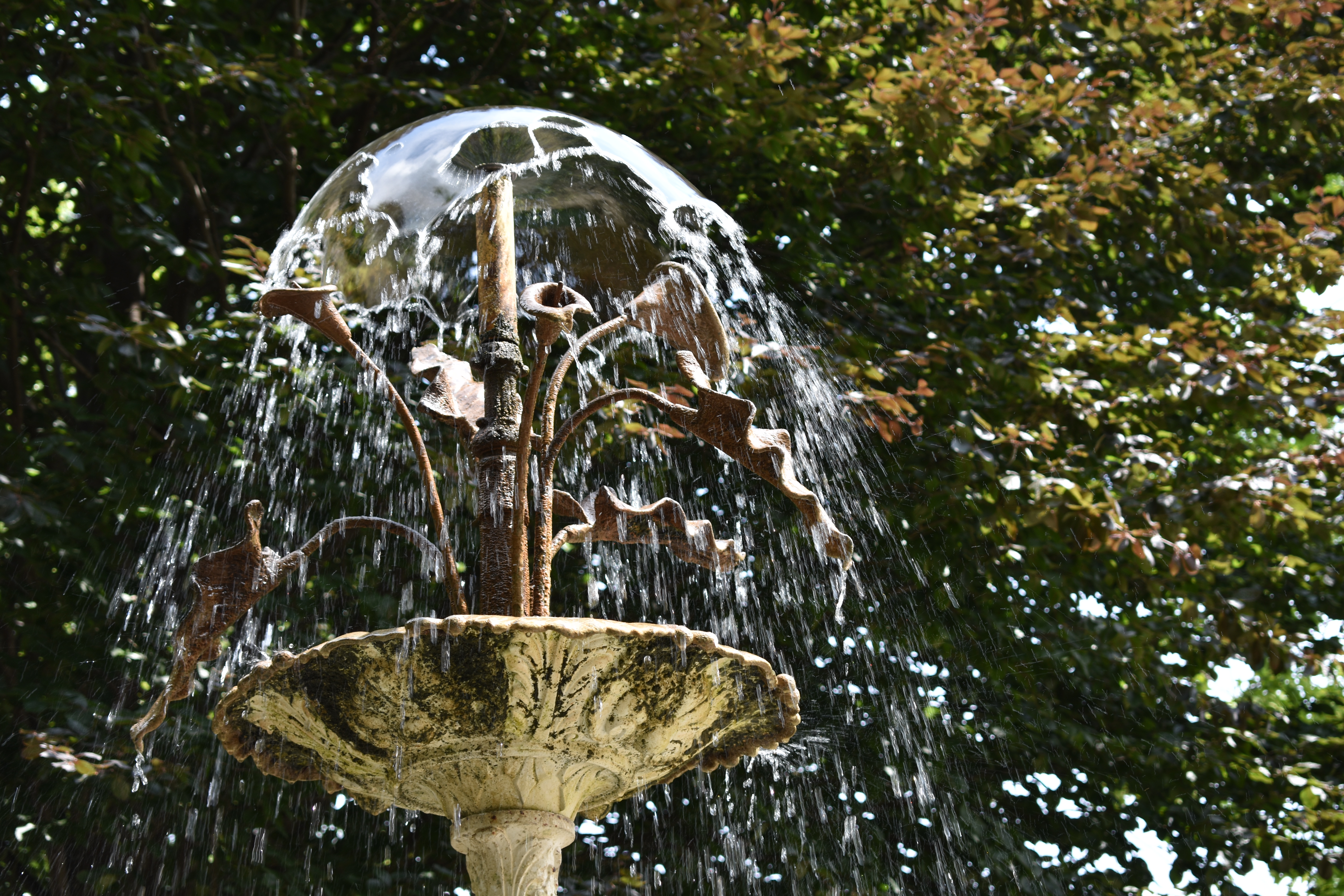 Water fountain.