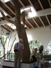 Cuban EcoHotel