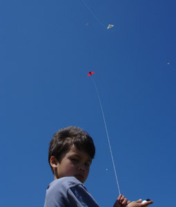 Erik kite flying