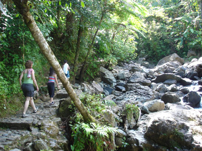 Hiking in El Yunque