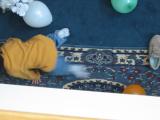 Click on one of the size names above to enlarge this image Click on one of the size names above to enlarge this image