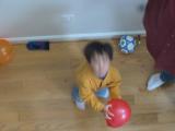 Click on one of the size names above to enlarge this image Click on one of the size names above to enlarge this image