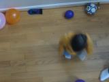 Click on one of the size names above to enlarge this image Click on one of the size names above to enlarge this image