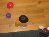 Click on one of the size names above to enlarge this image Click on one of the size names above to enlarge this image