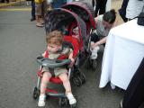 Click on one of the size names above to enlarge this image Click on one of the size names above to enlarge this image