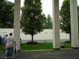 Click on one of the size names above to enlarge this image Click on one of the size names above to enlarge this image