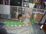 Click on one of the size names above to enlarge this image Click on one of the size names above to enlarge this image