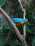 Click on one of the size names above to enlarge this image Click on one of the size names above to enlarge this image