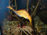 Click on one of the size names above to enlarge this image Click on one of the size names above to enlarge this image