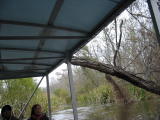 Click on one of the size names above to enlarge this image Click on one of the size names above to enlarge this image