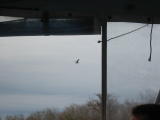 Click on one of the size names above to enlarge this image Click on one of the size names above to enlarge this image