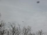 Click on one of the size names above to enlarge this image Click on one of the size names above to enlarge this image