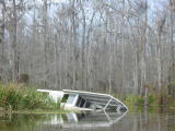 Click on one of the size names above to enlarge this image Click on one of the size names above to enlarge this image