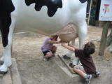 Click on one of the size names above to enlarge this image Click on one of the size names above to enlarge this image