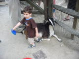 Click on one of the size names above to enlarge this image Click on one of the size names above to enlarge this image