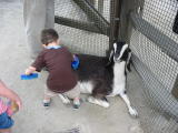 Click on one of the size names above to enlarge this image Click on one of the size names above to enlarge this image