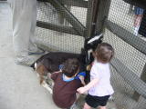 Click on one of the size names above to enlarge this image Click on one of the size names above to enlarge this image