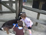 Click on one of the size names above to enlarge this image Click on one of the size names above to enlarge this image