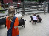 Click on one of the size names above to enlarge this image Click on one of the size names above to enlarge this image