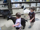 Click on one of the size names above to enlarge this image Click on one of the size names above to enlarge this image