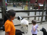 Click on one of the size names above to enlarge this image Click on one of the size names above to enlarge this image