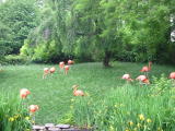 Click on one of the size names above to enlarge this image Click on one of the size names above to enlarge this image