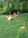 Click on one of the size names above to enlarge this image Click on one of the size names above to enlarge this image