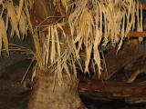 Click on one of the size names above to enlarge this image Click on one of the size names above to enlarge this image