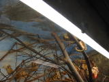 Click on one of the size names above to enlarge this image Click on one of the size names above to enlarge this image