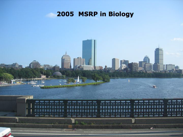 slide1.jpg
