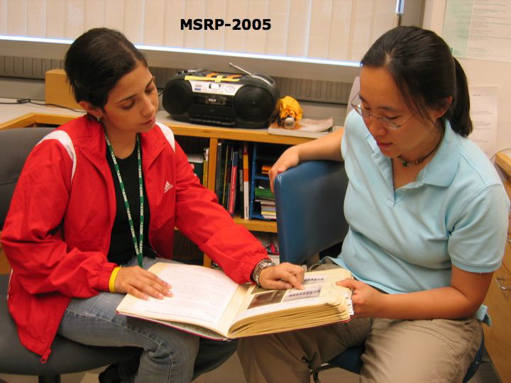 slide3.jpg