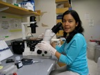 Nur-Taz in lab