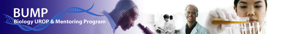Biology UROP Experience