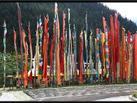 Tibet