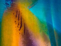 IMG 0916