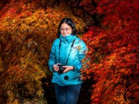 Janey Japanese Maple : Web Sharp Pro: Original ratio