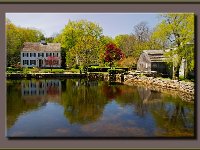 Cape Cod13962