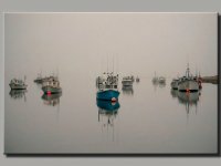 Cape Cod13964