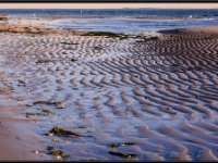 Cape Cod13985
